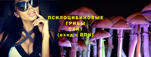 МДПВ Кулебаки